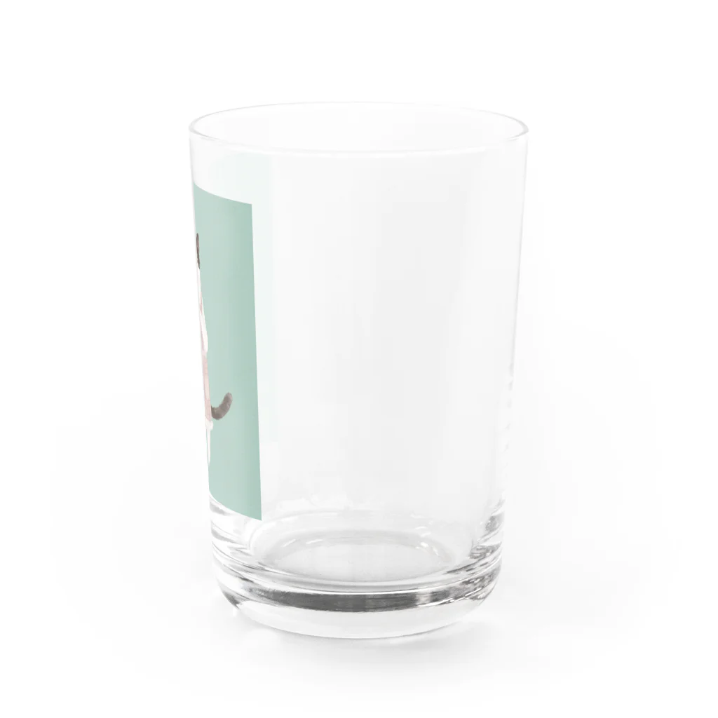 森のあらかるとの主婦ねこさん Water Glass :right