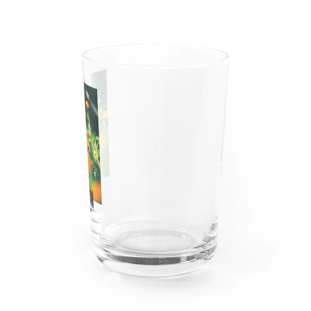 MONのロゴ入りまつばぎく Water Glass :right