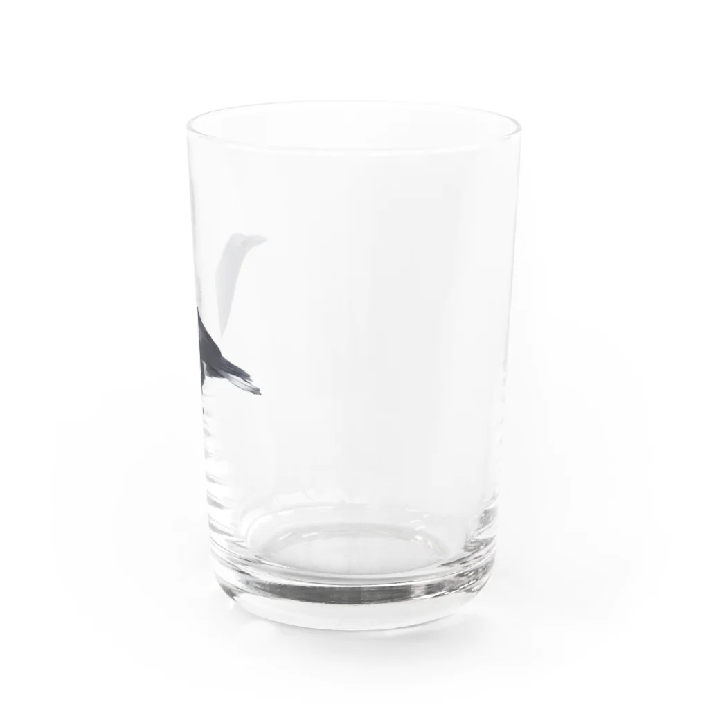 缶詰1616のカラス Water Glass :right