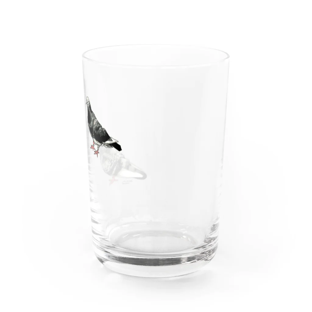 魚の目のお店のハト（スケルトン） Water Glass :right