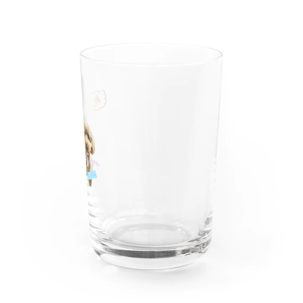 アンディ犬(トイプードル)だよのアンディだよ！ Water Glass :right