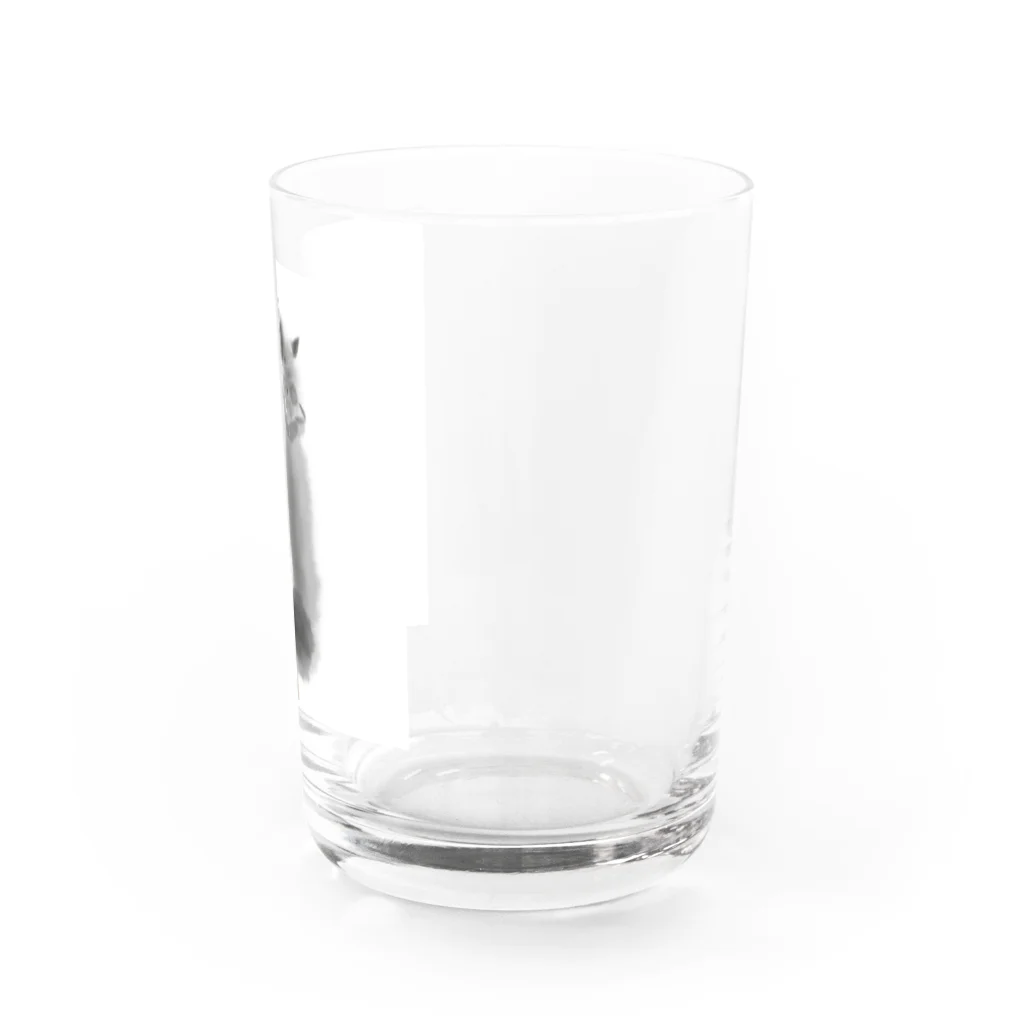 C Nのノルウェージャンフォレストキャット黒猫 Water Glass :right