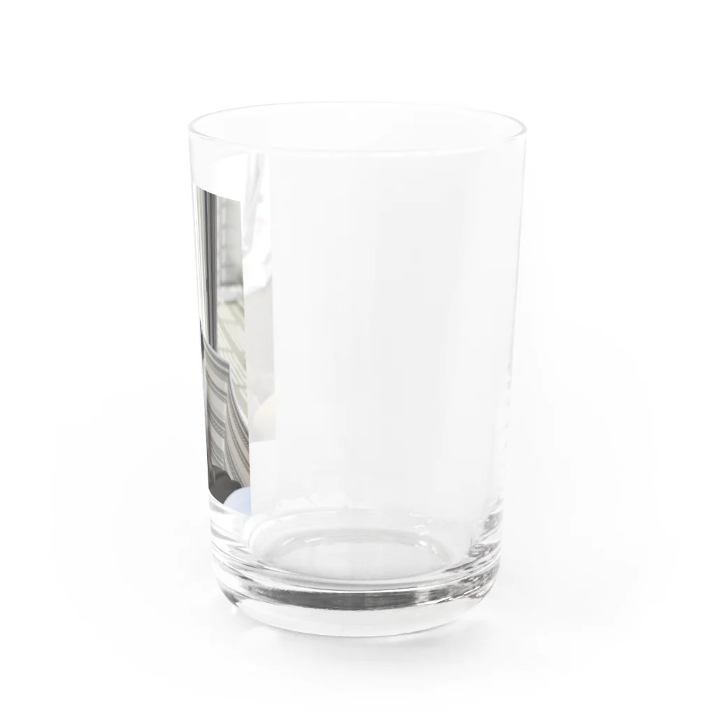 ゆるゆるやさんのかるちゃんグラス Water Glass :right