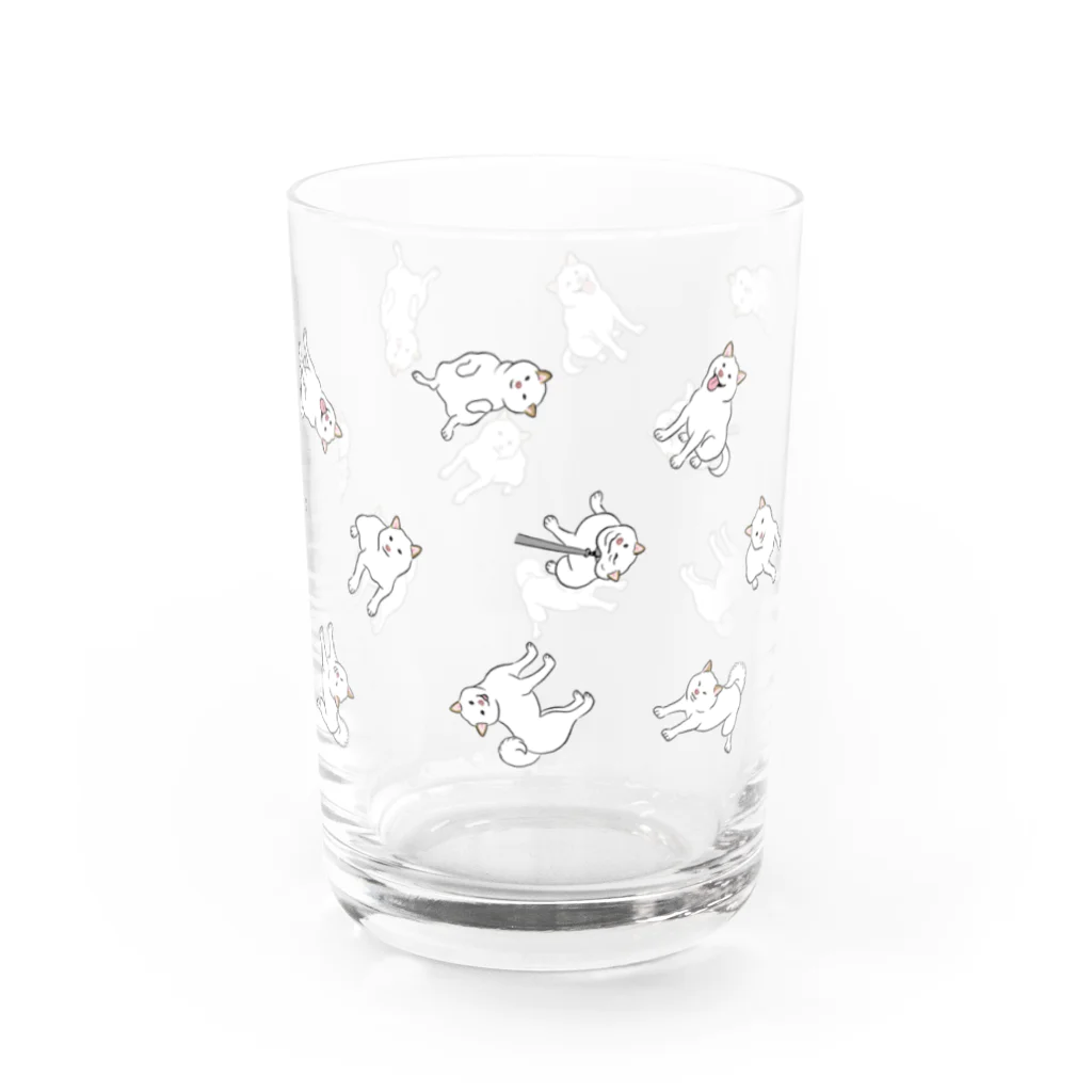 chippokeの白柴いっぱい Water Glass :right