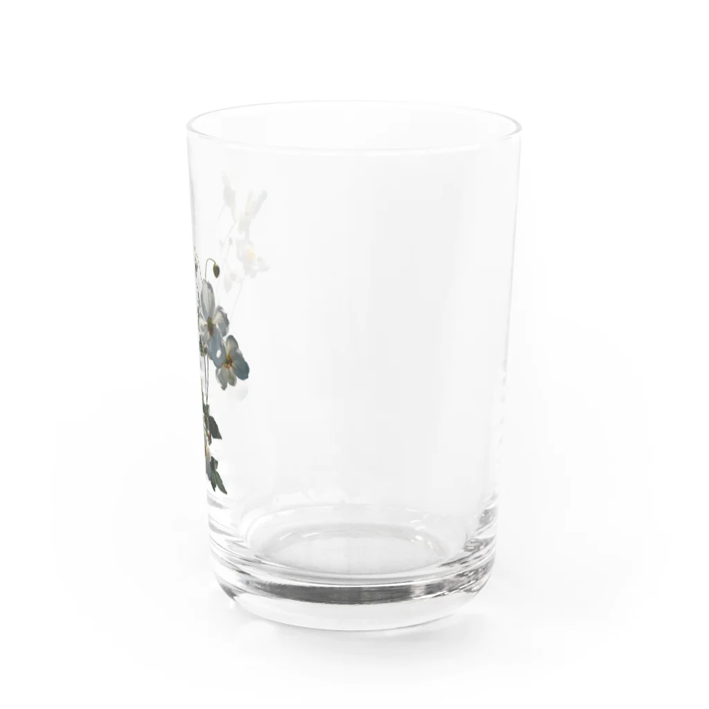 マロマロの秋明菊咲いた！ Water Glass :right