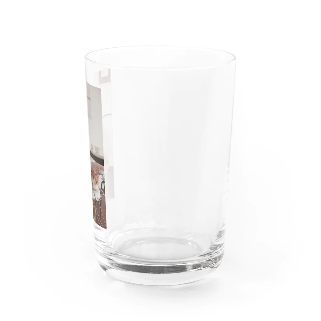 フカツ マリエの猫と家 Water Glass :right