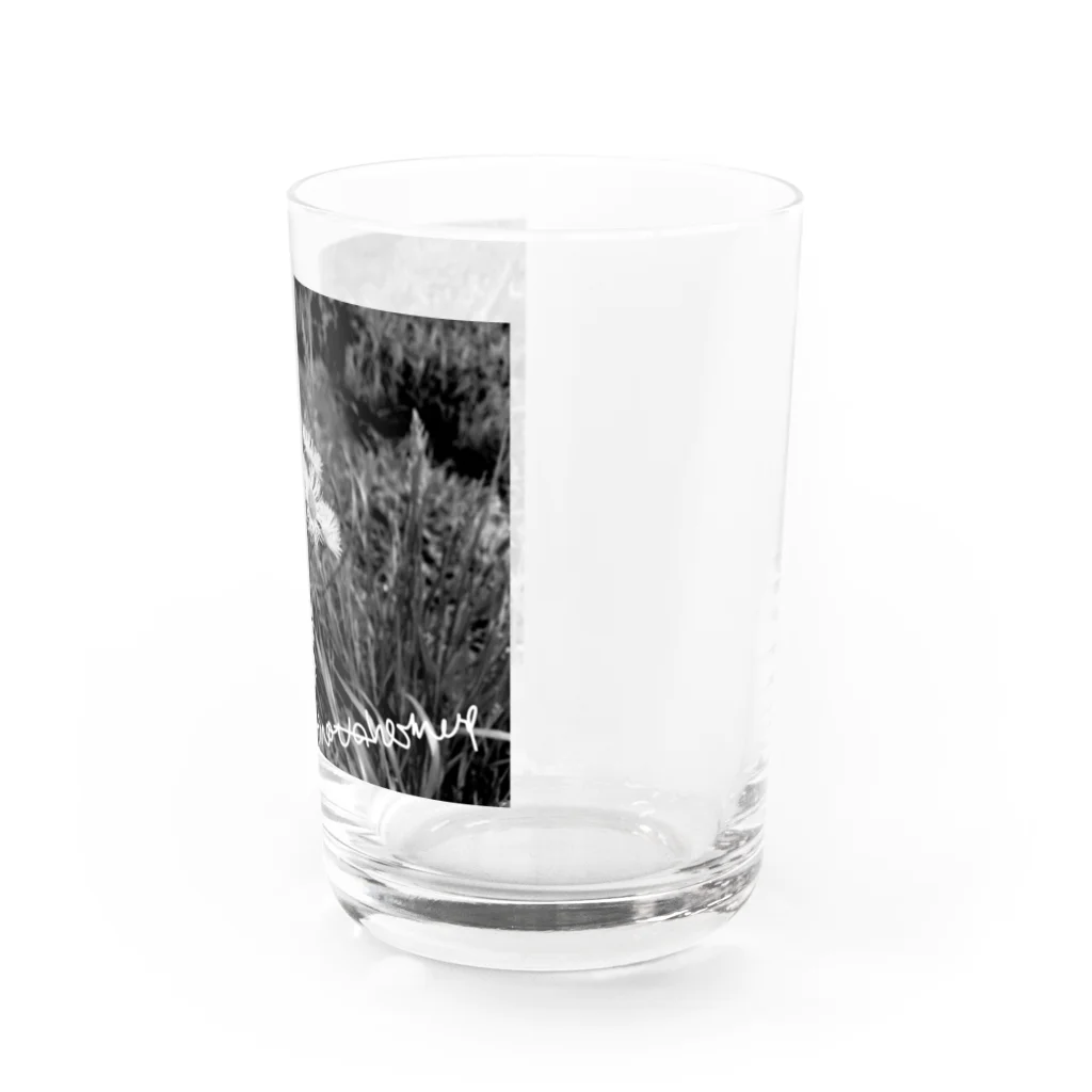 SONOTANOMONOのSONOTANOFLOWER Water Glass :right