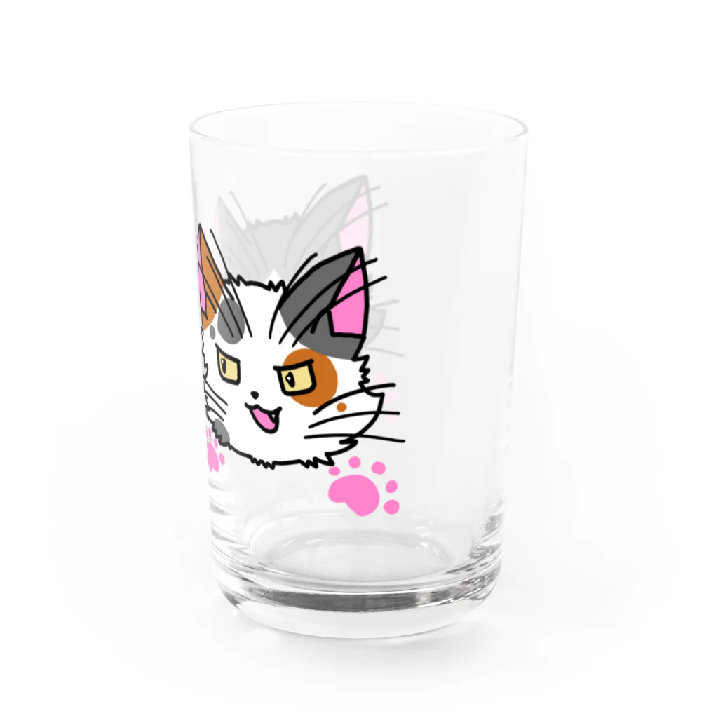 ねこねこうおのやんちゃなハチワレ君とミケネコ君 Water Glass :right