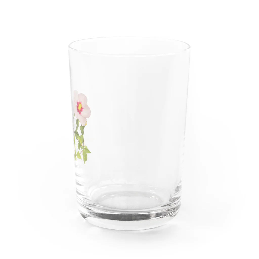 ビション好きなおうちあそびのお花　ロゴ入り Water Glass :right