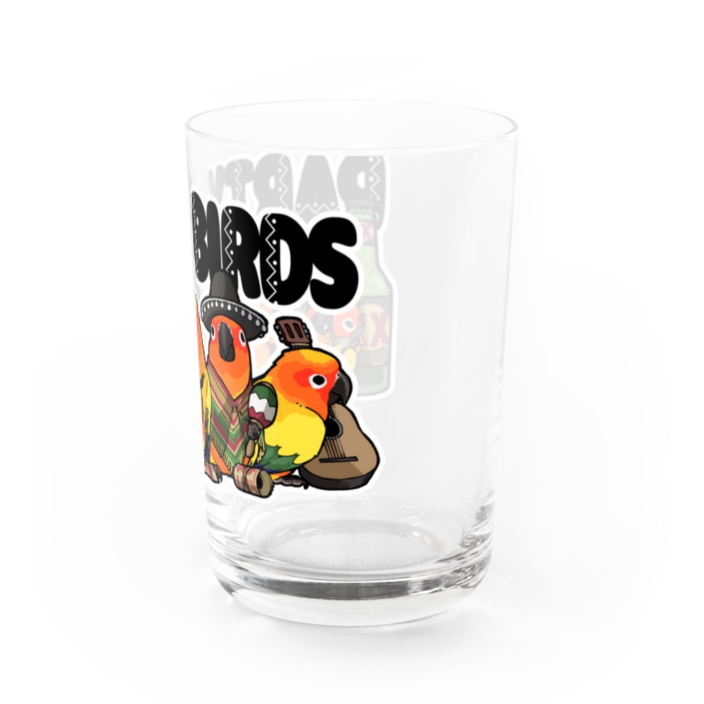 空ノ鳥小屋のメキシカンなコガネ Water Glass :right