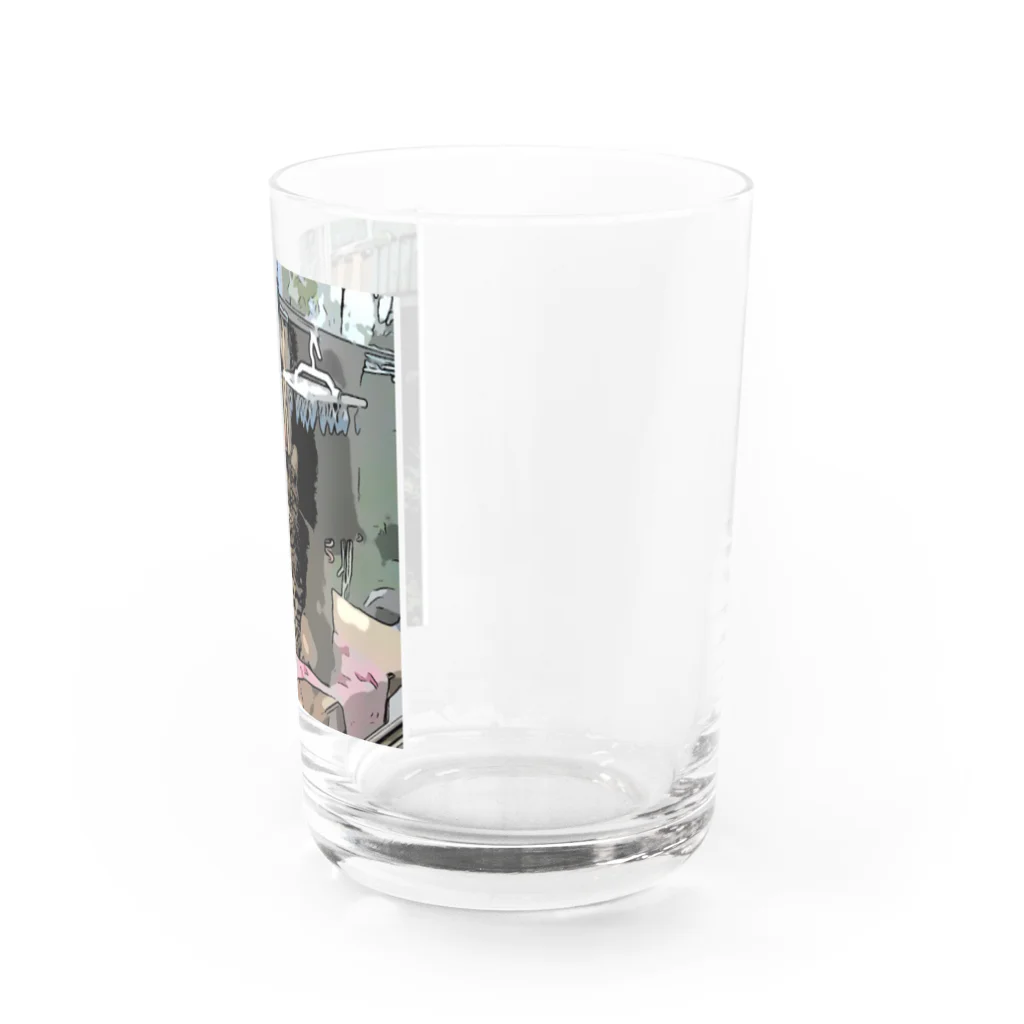 saraのねこ 仲良し3兄弟 Water Glass :right