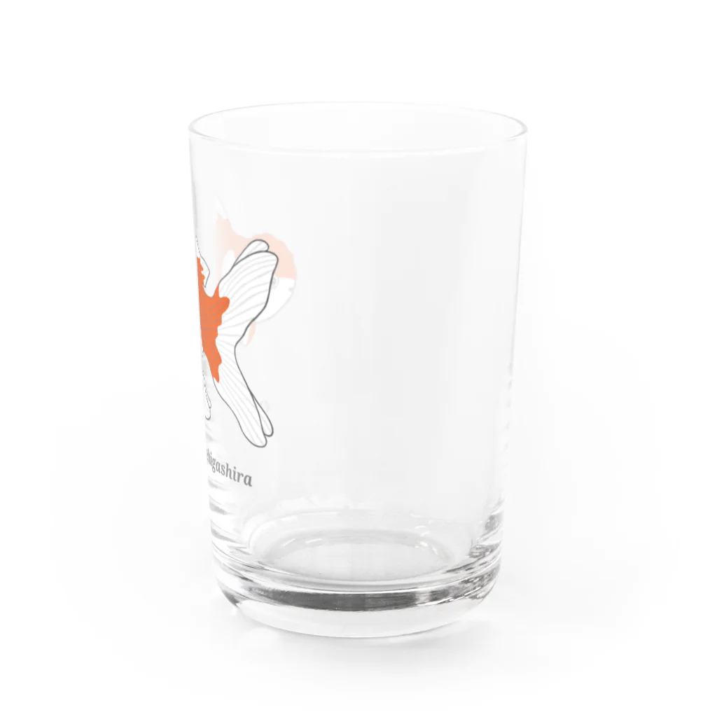 GREAT 7のオランダシシガシラ Water Glass :right