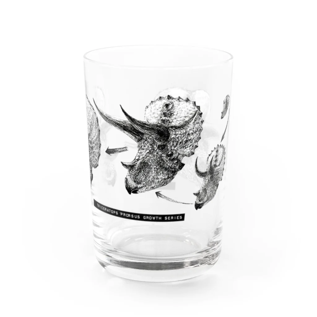 segasworksのTriceratops prorsus growth series Water Glass :right