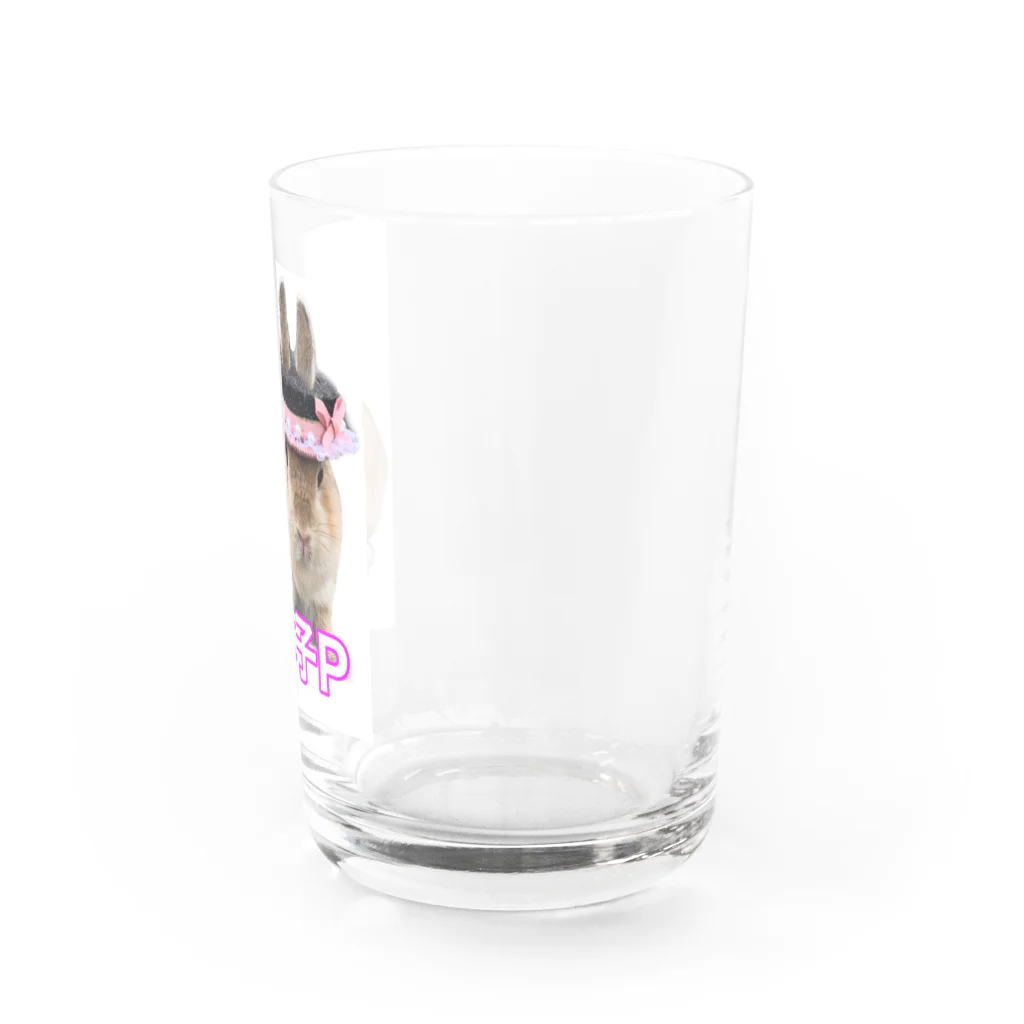 うさぎ３姉妹のきな子P グラス Water Glass :right