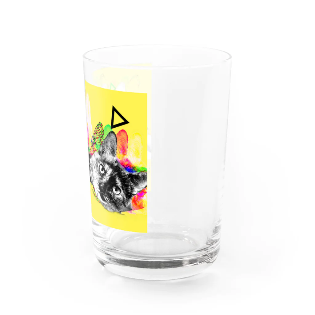 rora-noraのねこたちは見た。 Water Glass :right