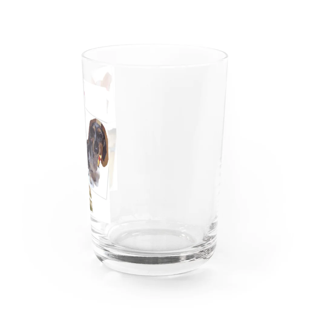 マンマチャオ　大東ショッピングプラザピア店の可愛い愛犬 Water Glass :right