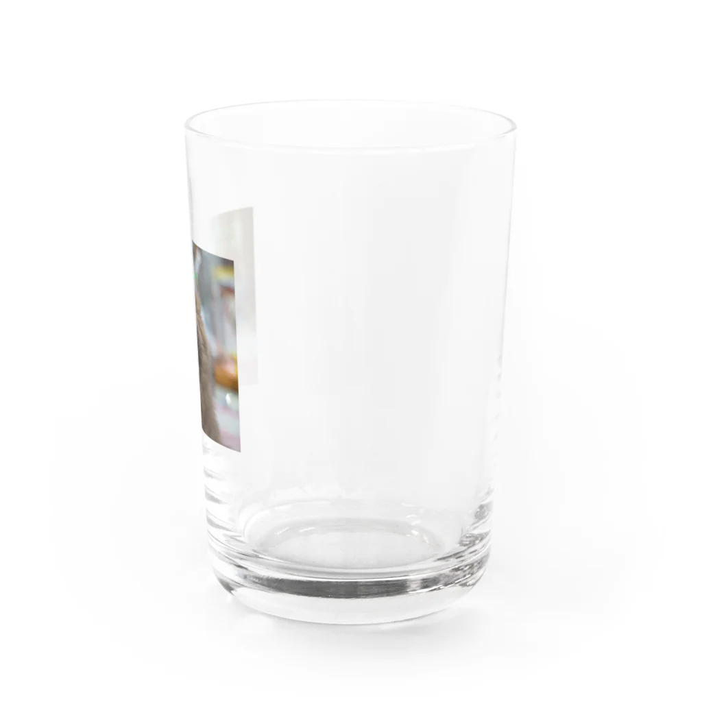 Fu3a eye'sのI'm sleepy Water Glass :right