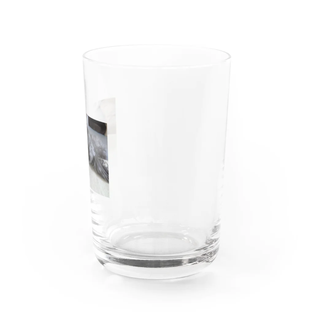 PIECE OF PEACEの愛犬シエル１８歳 Water Glass :right