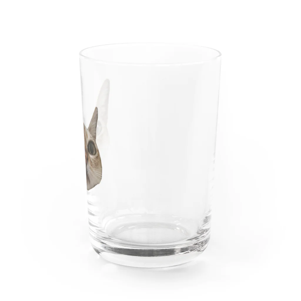 玉林茂二美のおこじょ顔 Water Glass :right