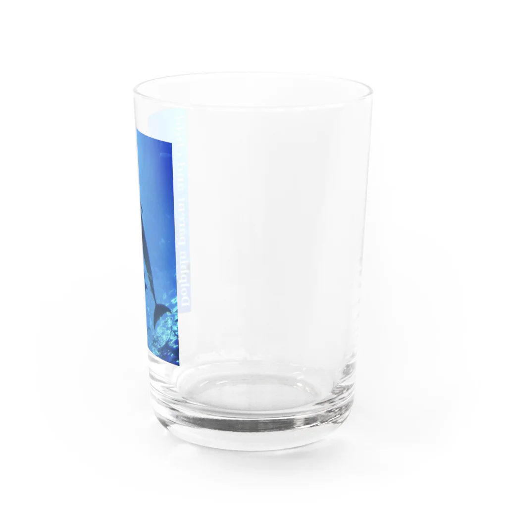 asirのイルカの親子 Water Glass :right