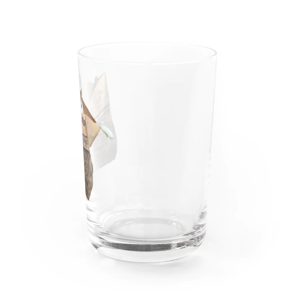 だっくのねこぶくろ Water Glass :right