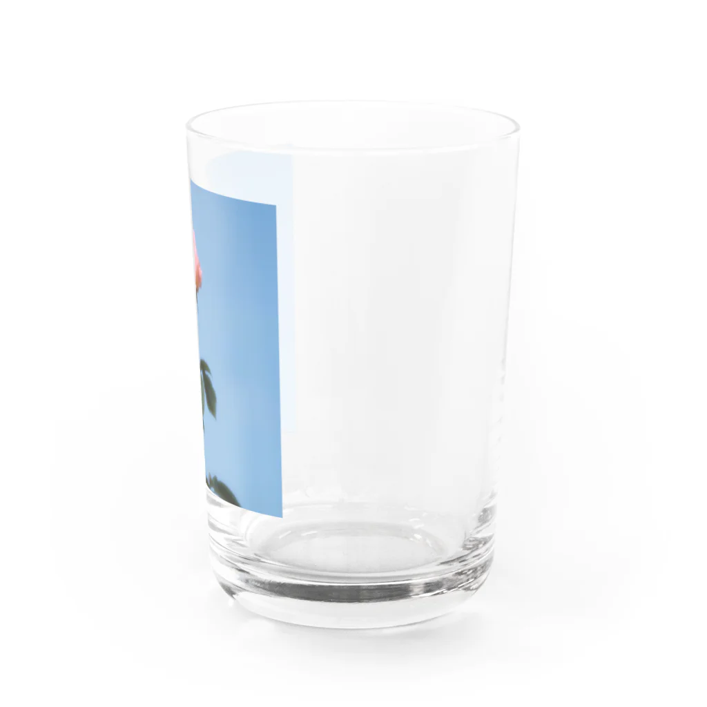 さーなの写真集の秋空の薔薇お写真んぽ Water Glass :right