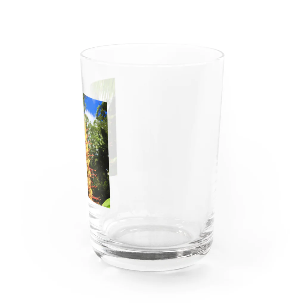 srgmtaroの南国花 Water Glass :right