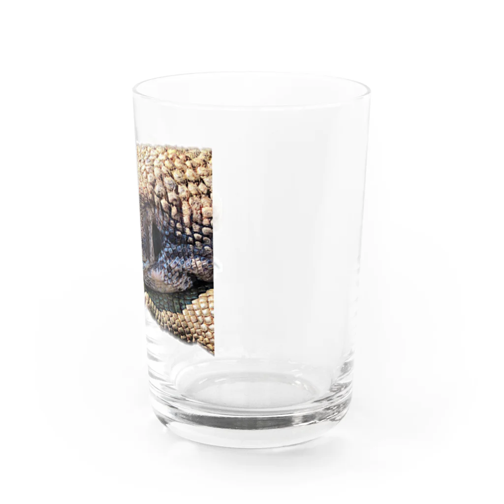 サウンドキラーのサバンナモニターノアくん Water Glass :right