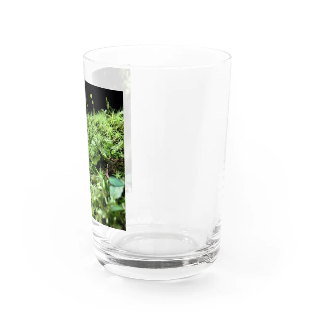 不思議商店の玉ちゃん Water Glass :right