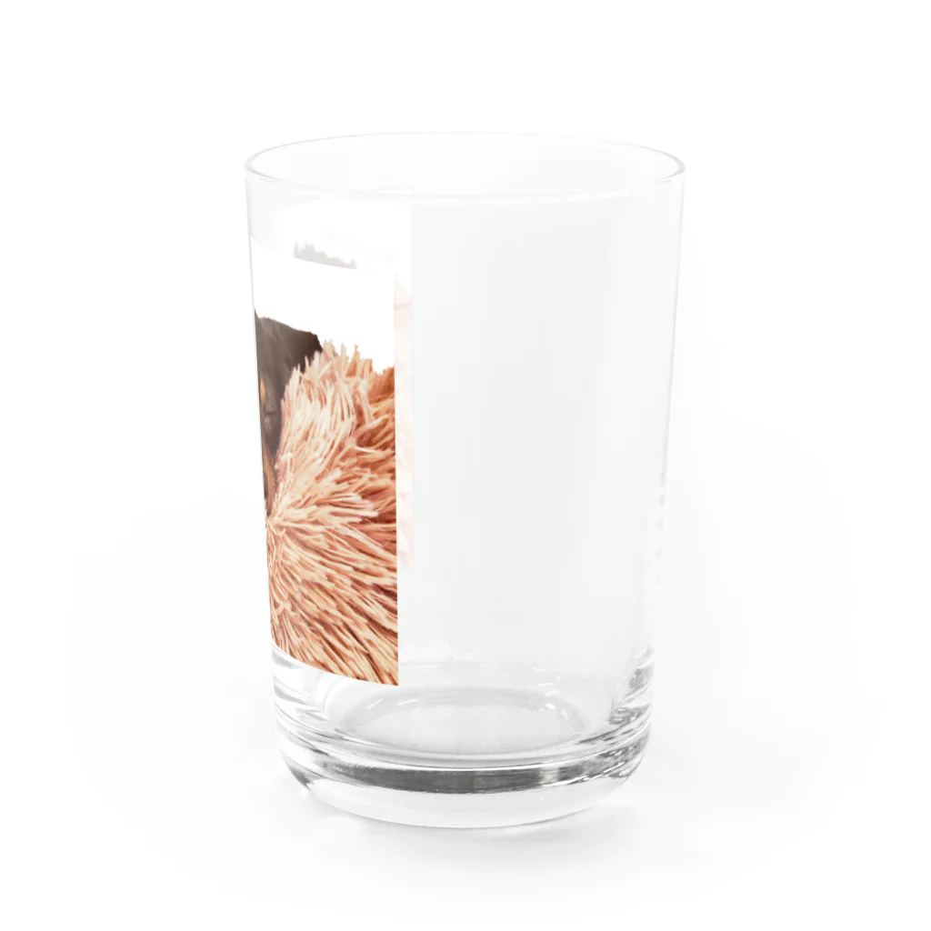 lovedogsの#Lovedog (めろver.) Water Glass :right