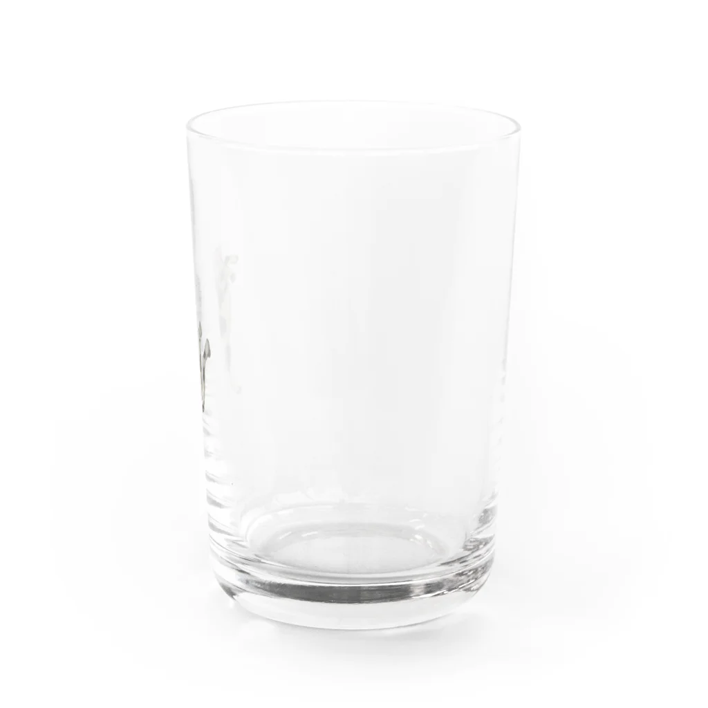 😄 SMILE  or Kill🗡の猫又 Water Glass :right