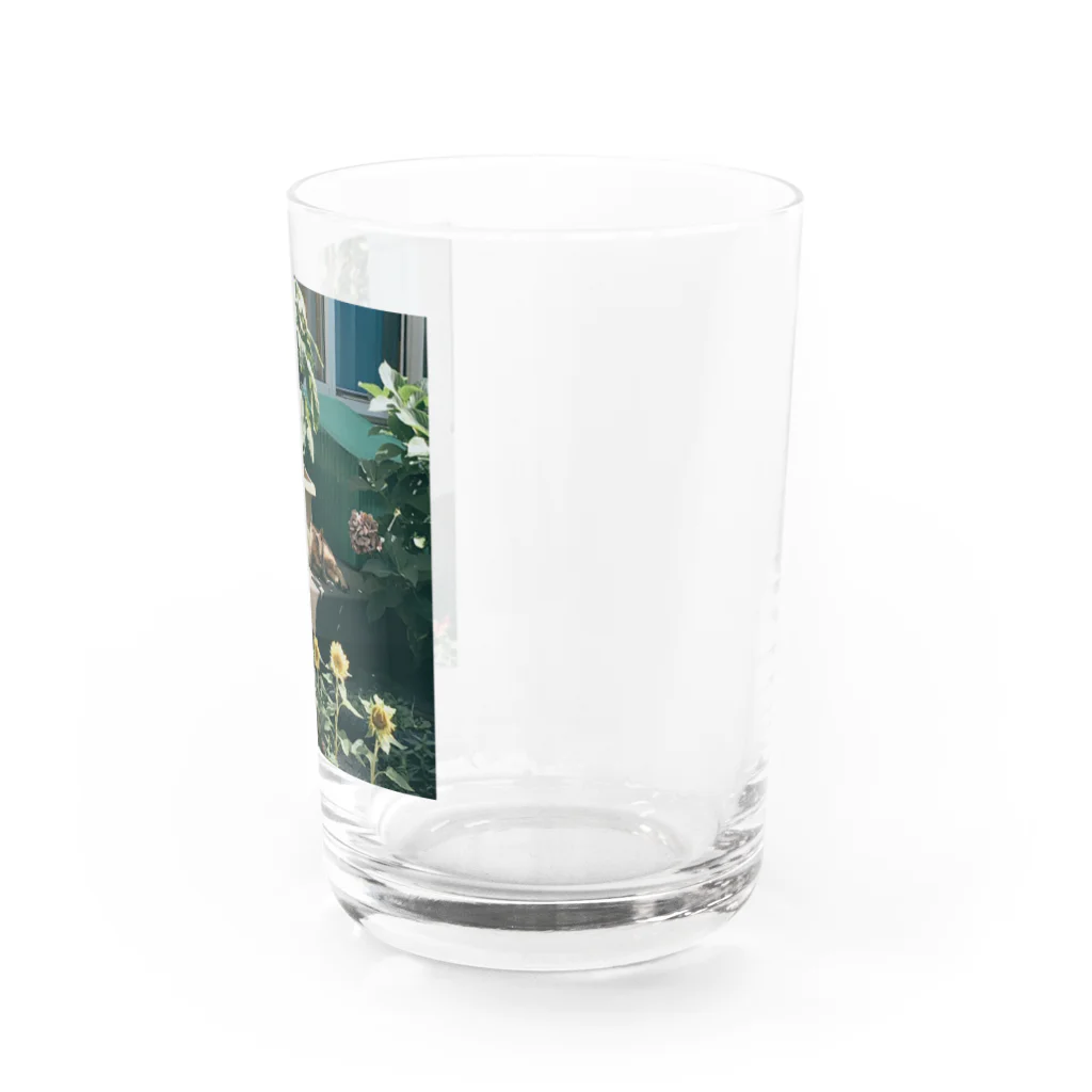 りんりんどこーのneighbor Water Glass :right