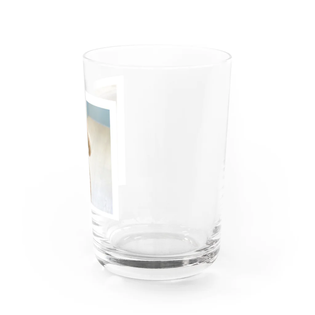 Lienのリアンくん Water Glass :right