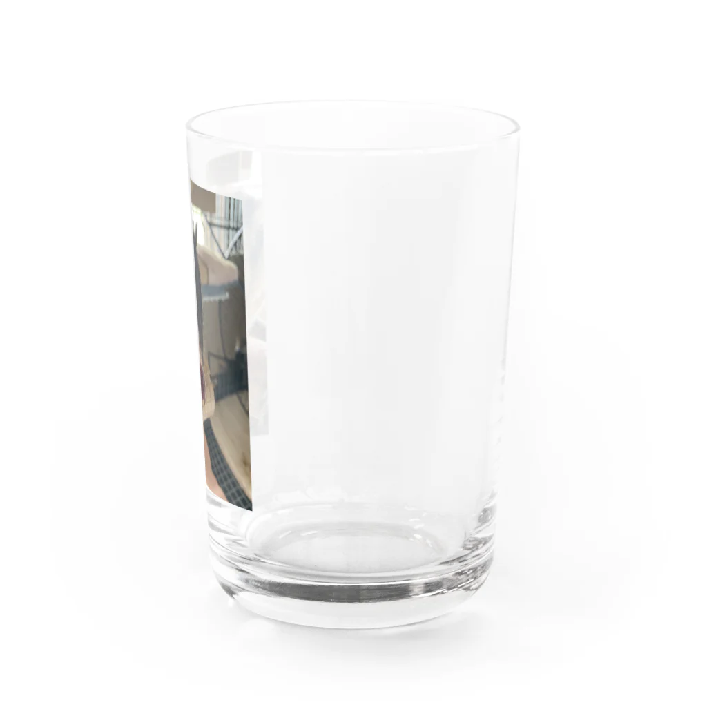 チロ358のシマリスみかん Water Glass :right