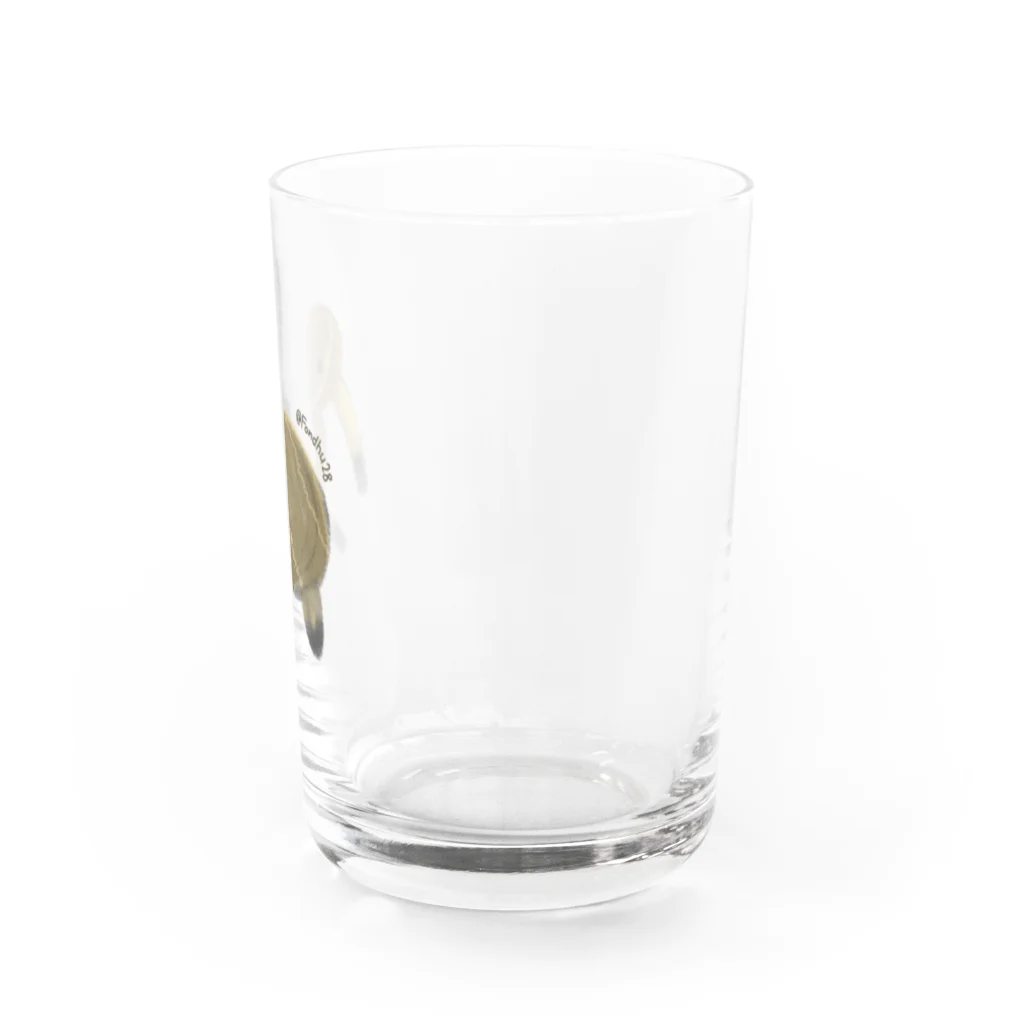 Fondhuのくわいキウイ Water Glass :right