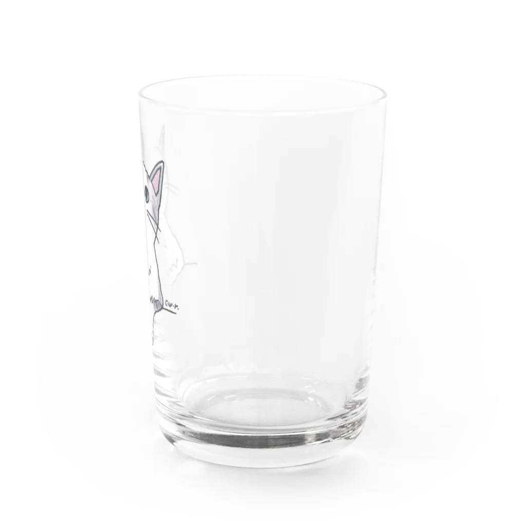 CUROGNACの100nyans029.purucat Water Glass :right