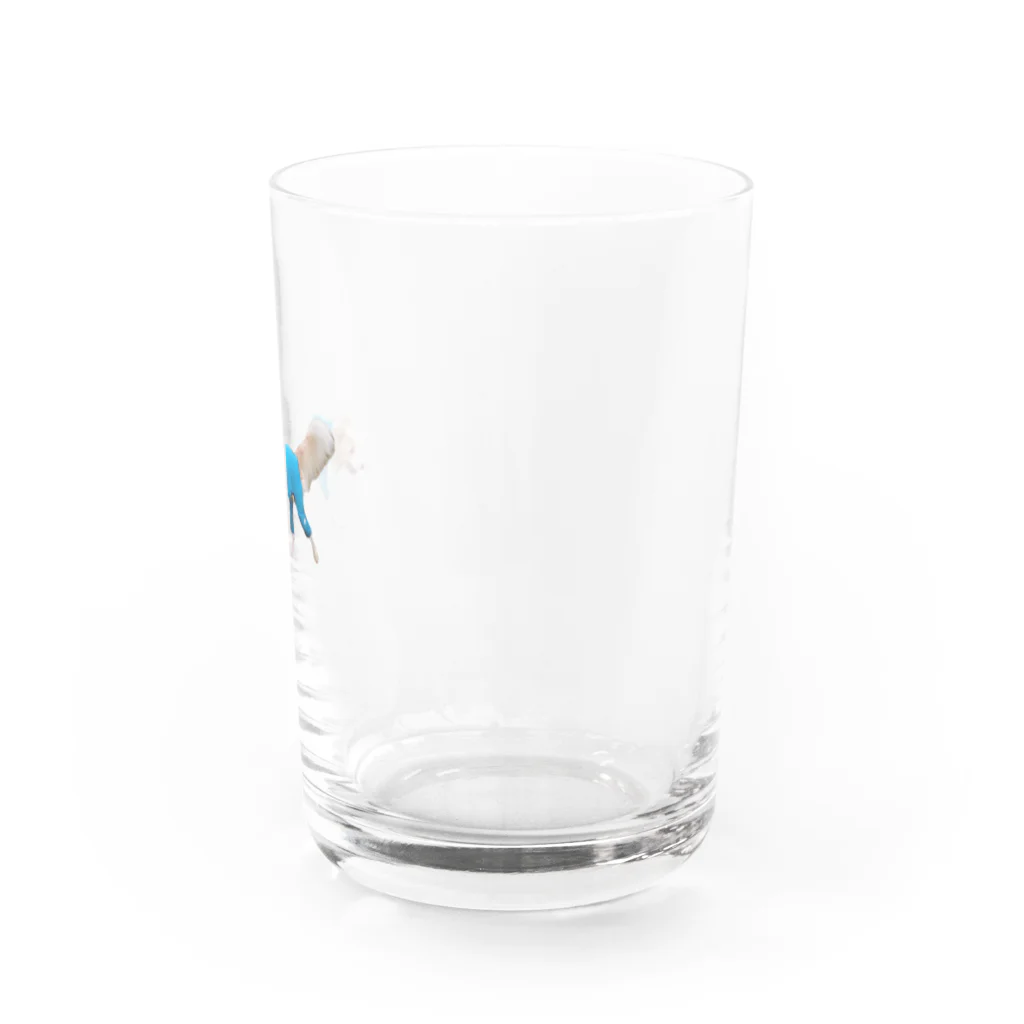 2514家のホッパーのボーダーコリー 僕はホッパー 〜てくてくボディスーツver.〜 Water Glass :right