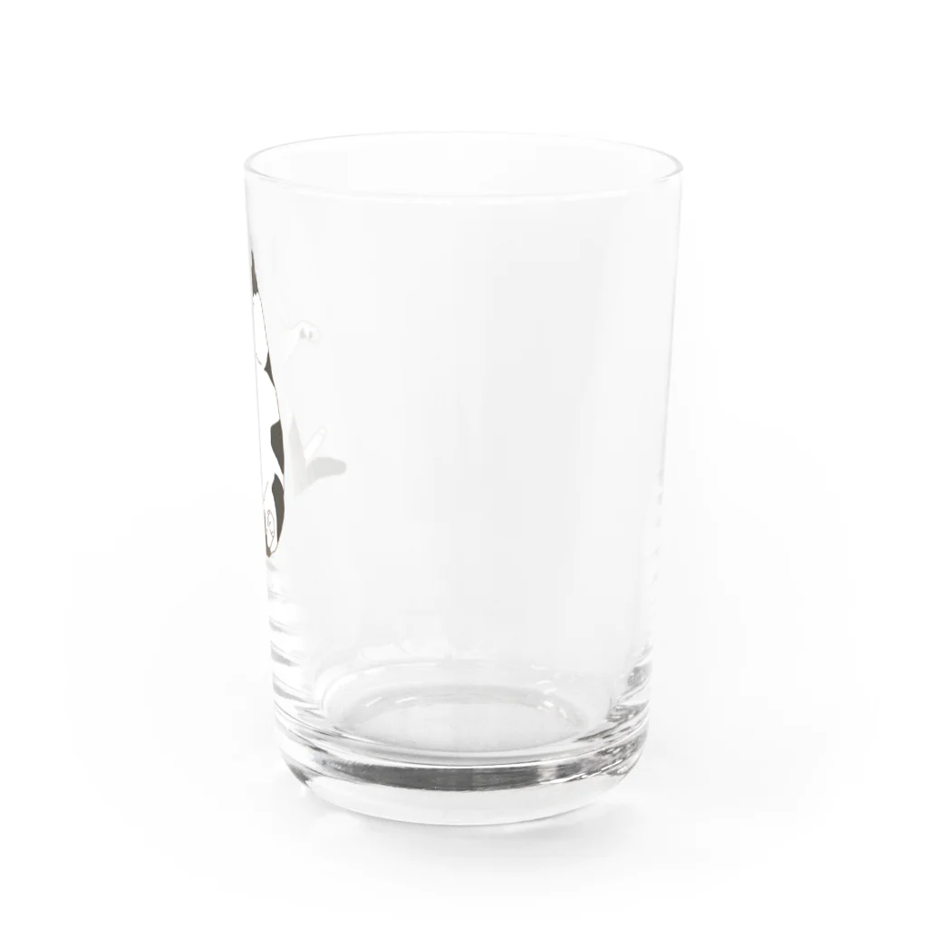 小鳥と映画館のもちもちニャンコ Water Glass :right