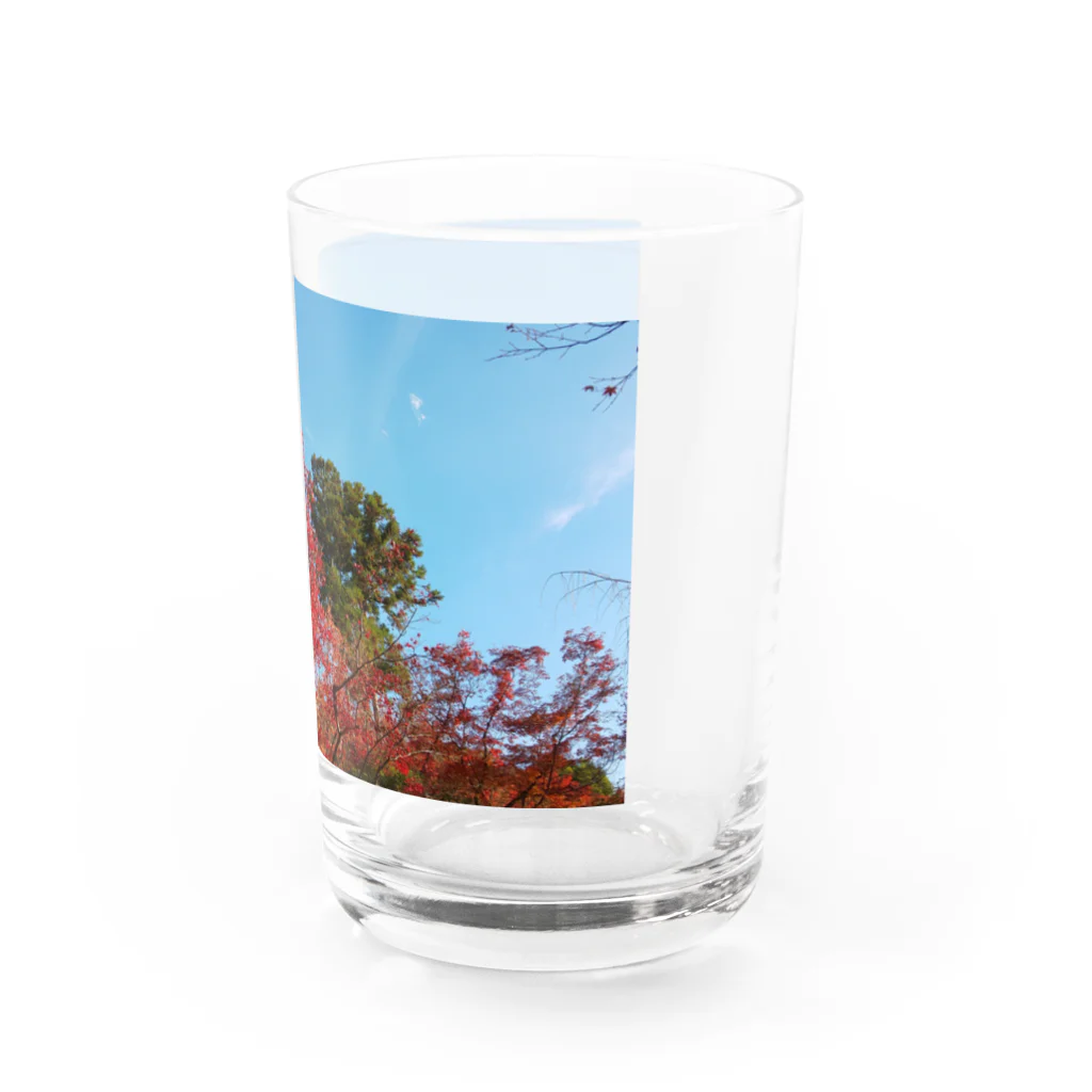 たむっち!の紅葉 Water Glass :right