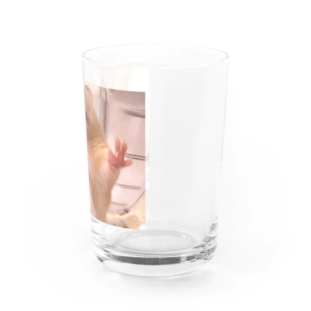 アヤナシトリィSHOPのキンクマハムスター　続 おつきみ日誌 Water Glass :right