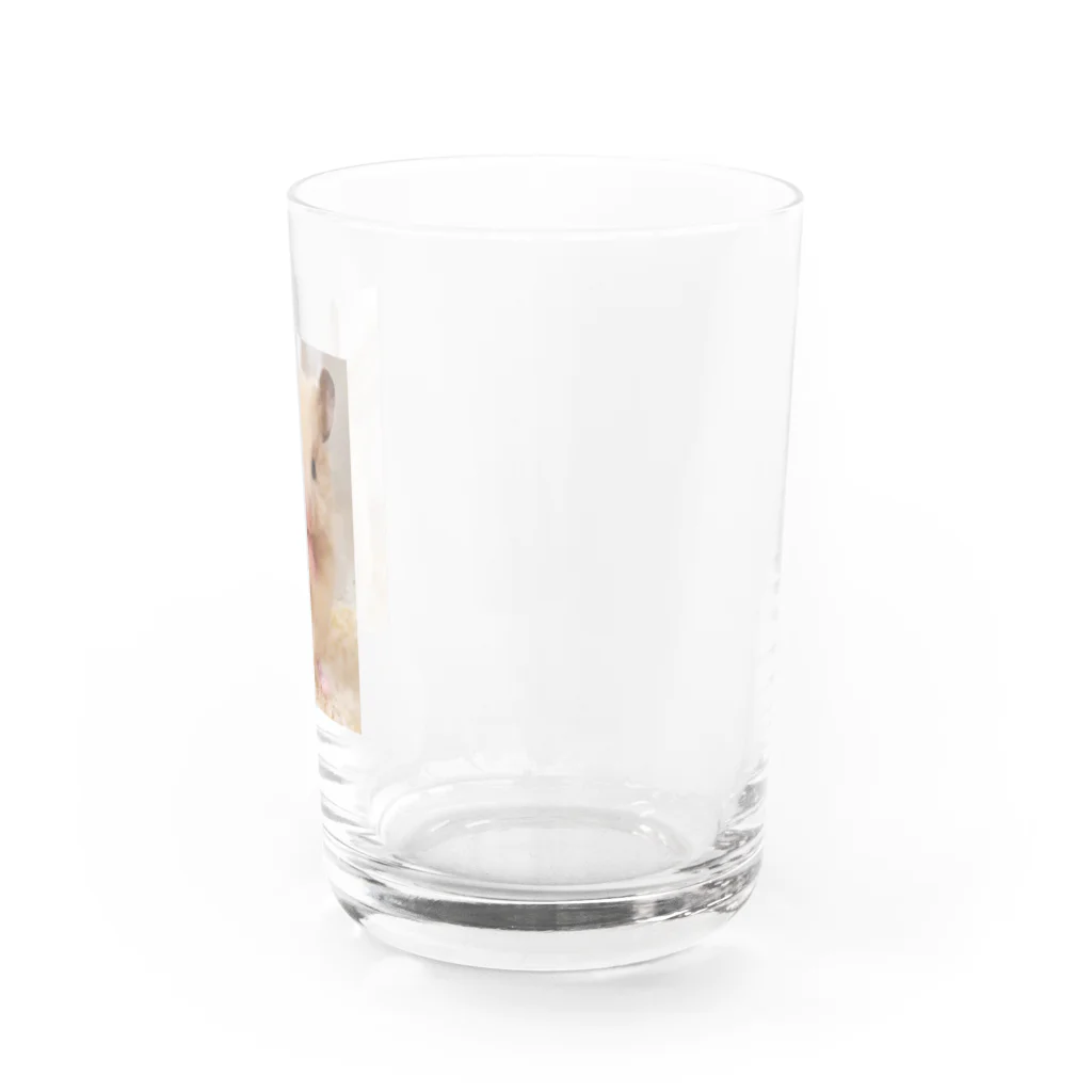 アヤナシトリィSHOPのキンクマハムスターおつきみ日誌　キュート編 Water Glass :right