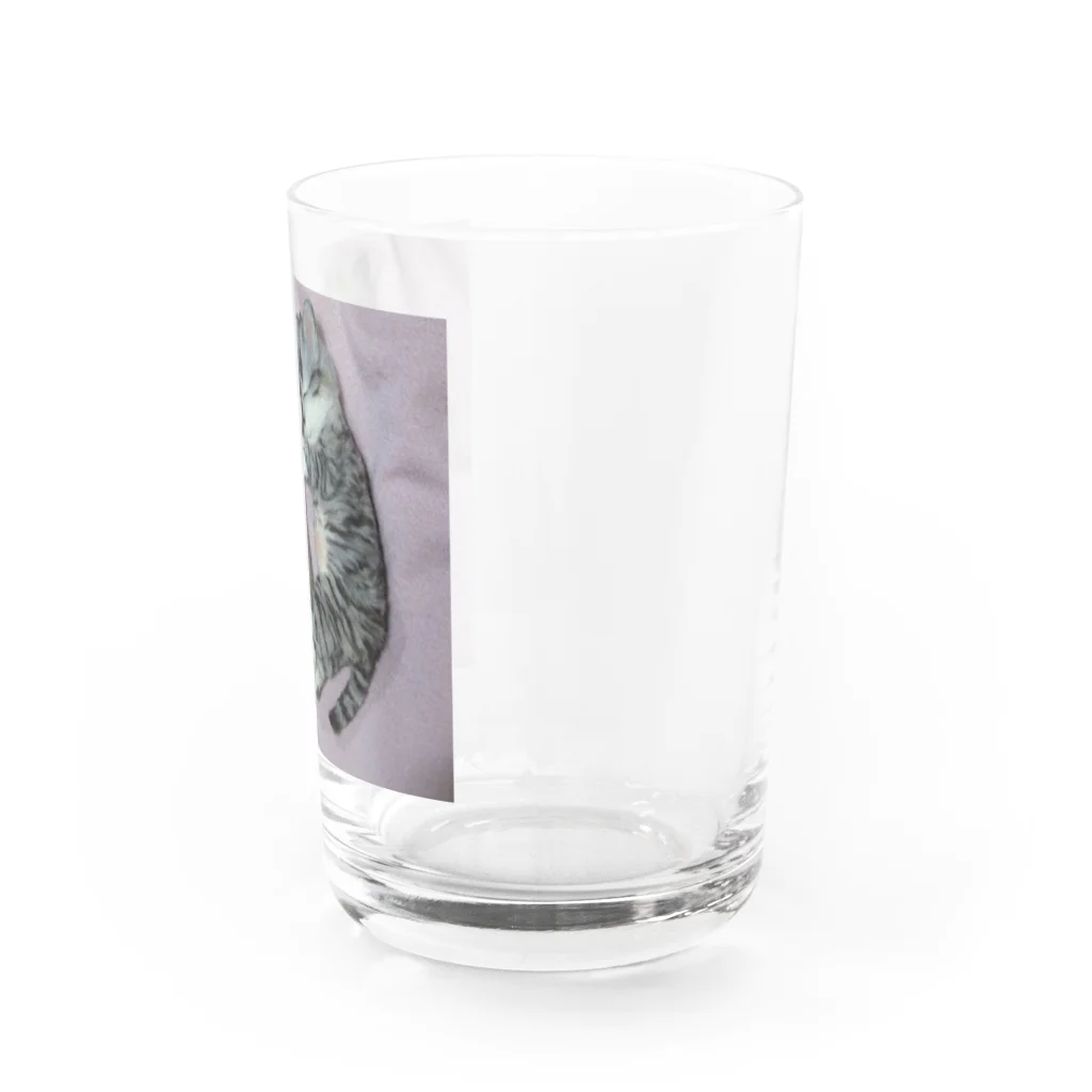 sasaki0318の兄弟で遊び疲れて爆睡中 Water Glass :right