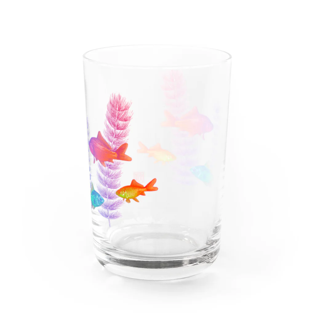森下善行の金魚（無地） Water Glass :right