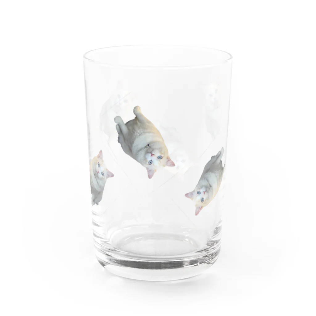 monimalの猫 Water Glass :right