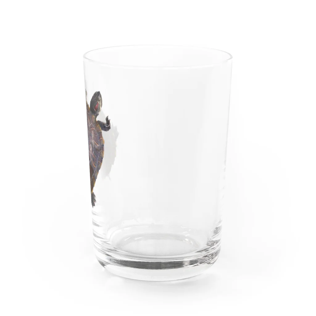 林 邦明 (クニさん)の【ミシシッピ アカミミガメ】(♂)の名前イッチー グッズ Water Glass :right