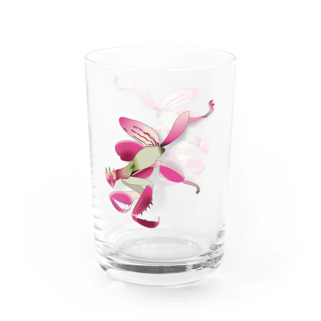 Drecome_Designのいたずらデザイン(ちょっとハナカマキリついてますよ) Water Glass :right