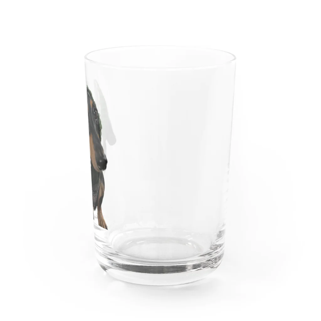 み~たの助。の冬仕様たかちゃん Water Glass :right