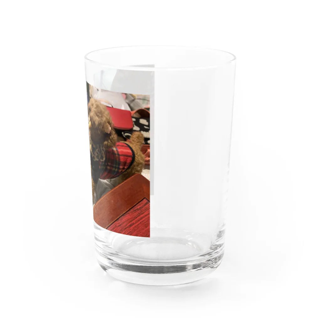 シャンティのシャンティ肉を喰らう Water Glass :right