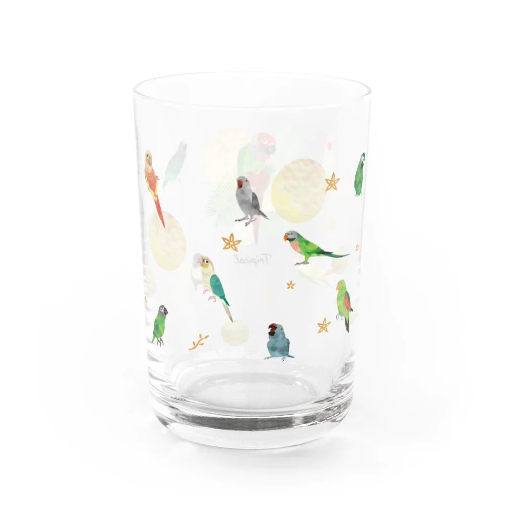 MIKIHO＠トリピカルのウロコインコグラス Water Glass :right