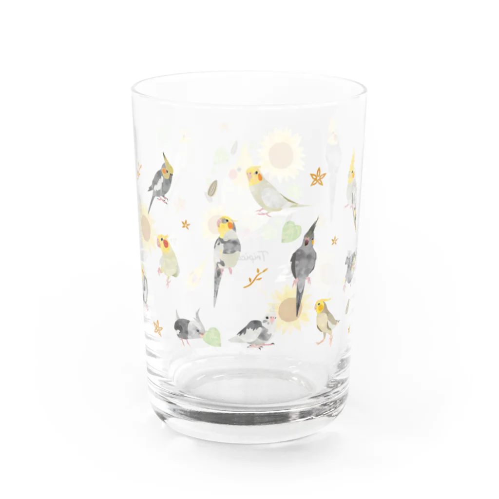 MIKIHO＠トリピカルのオカメグラス Water Glass :right